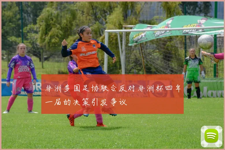 非洲多国足协联合反对非洲杯四年一届的决策引发争议